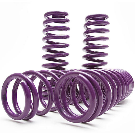 D2 Racing PRO Lowering Springs for 2005-2014 Ford Mustang